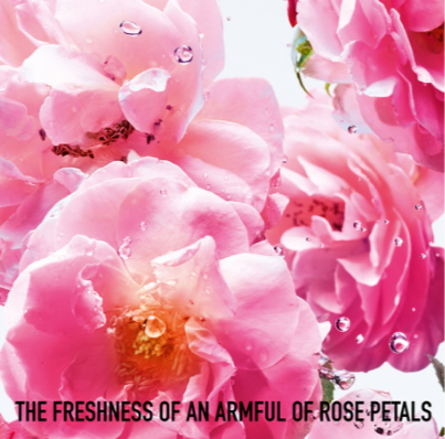 Miss Dior Rose N'Roses Eau De Toilette • 150ml
